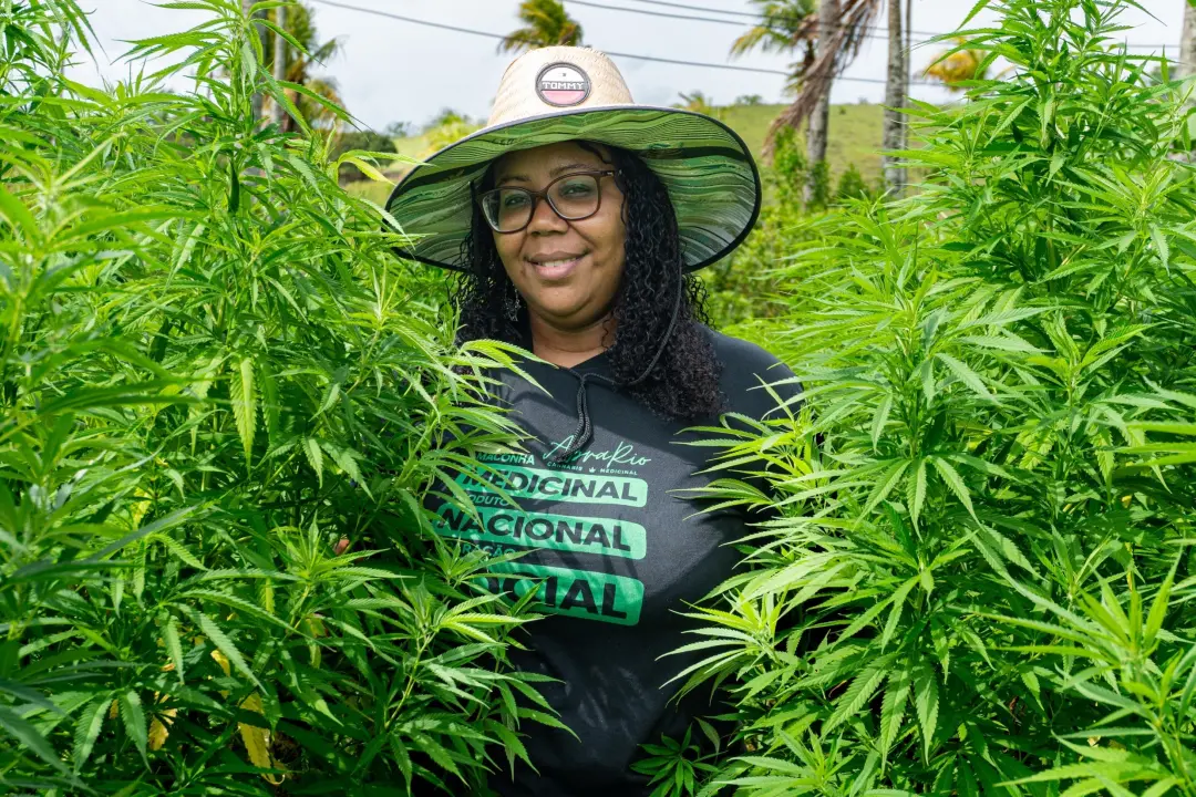 Associação de Niterói obteve decisão judicial definitiva para cultivo de cannabis medicinal. Isso garante segurança jur…