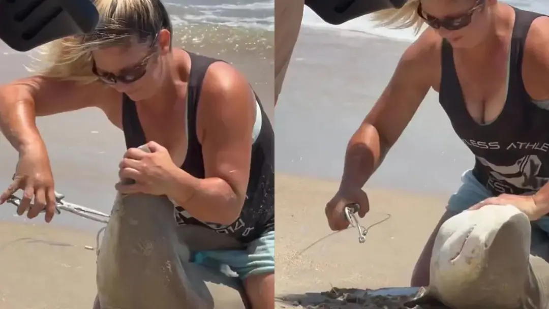 Em Cape Hatteras, na Carolina do Norte, uma mulher retirou um anzol da boca de um tubarão encalhado, em um ato de cuida…