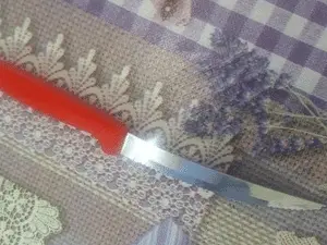 Santa Catarina: adolescente de 13 anos esfaqueia colega durante briga em escola. É muito sério quando conflitos escolar…