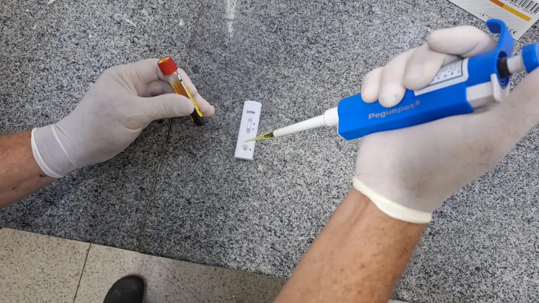 Goiás registrou 7056 casos de sífilis de janeiro a agosto deste ano. Apesar da redução comparada ao ano passado, o aume…
