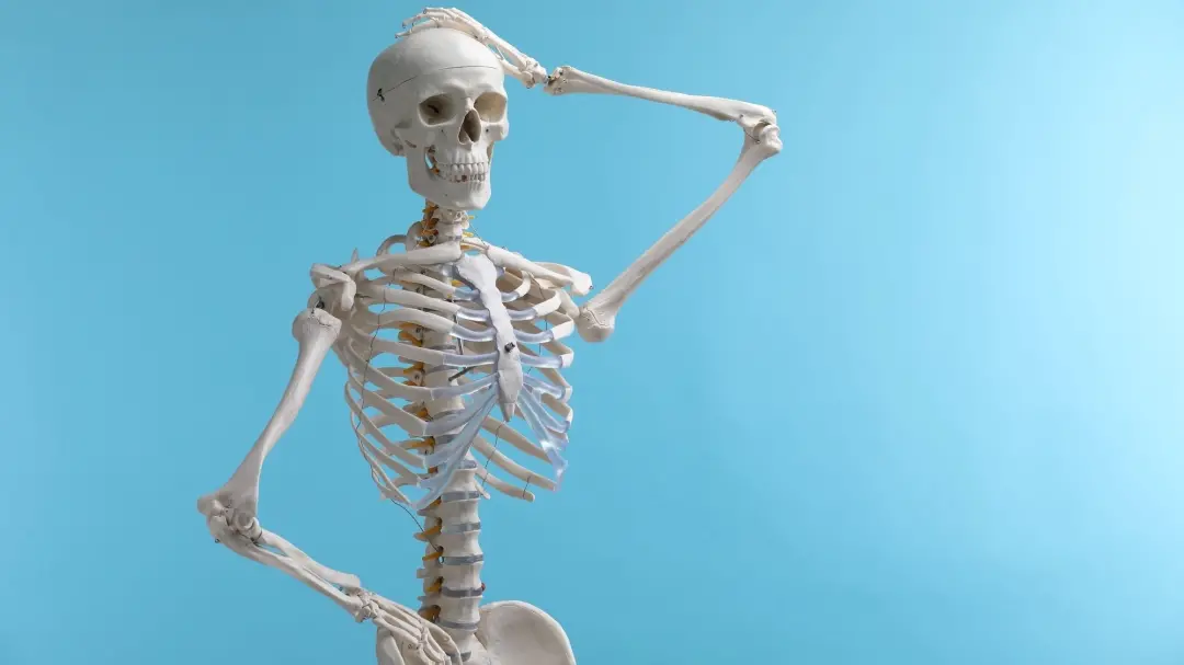 Skeleton 150, encontrado em uma capela de Stirling Castle, tinha mais de 160 fraturas no corpo. A brutalidade daquele c…