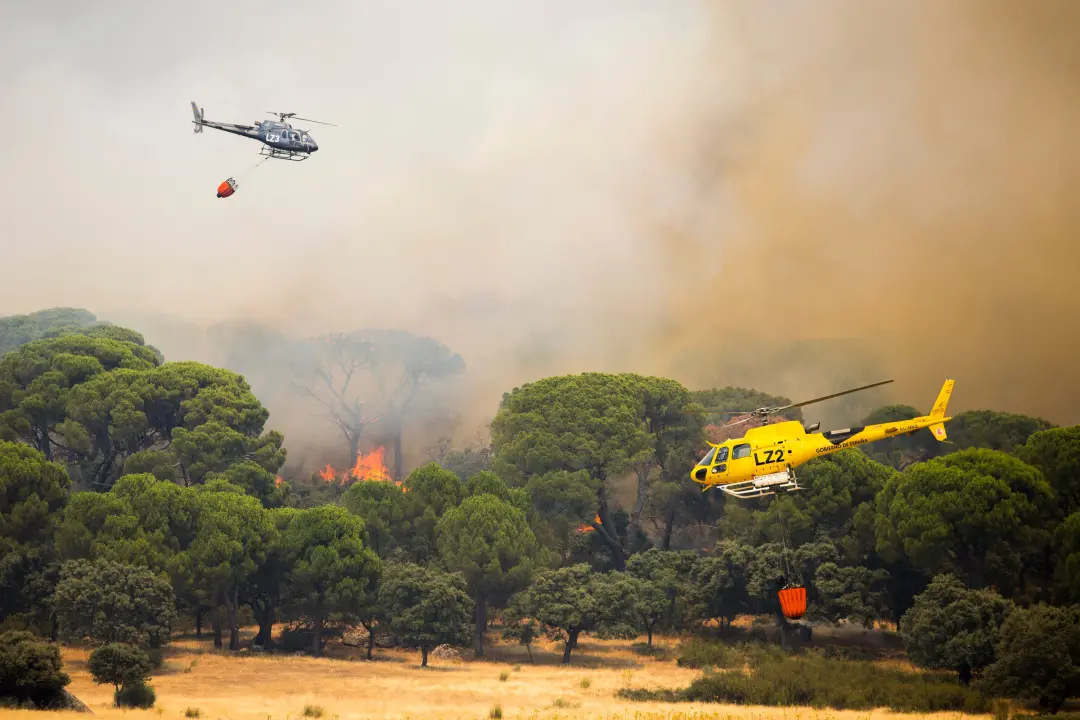 Mais de metade dos cidadãos em Espanha diz que tem pouco ou nenhum conhecimento sobre como agir em um incêndio floresta…