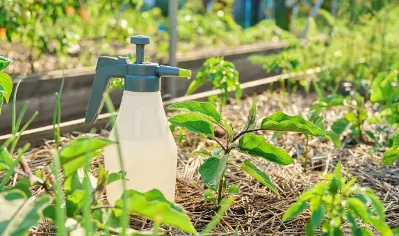 Primeiro biofungicida à base de metabólitos foi desenvolvido no Brasil, com cerca de 40 metabólitos para controlar antr…