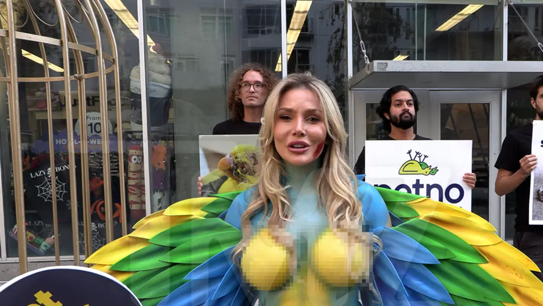 Publicação de @clara.barbosa