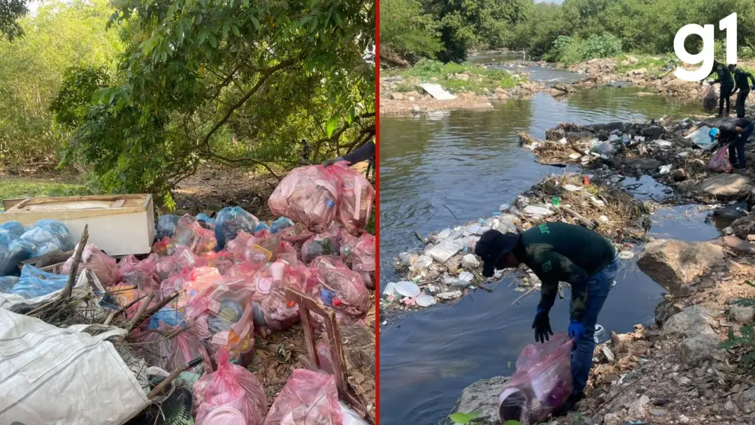 214 sacos e 10 bags de lixo foram retirados do córrego do Gambá em Cuiabá. Esse descarte irregular afeta o rio e pode a…