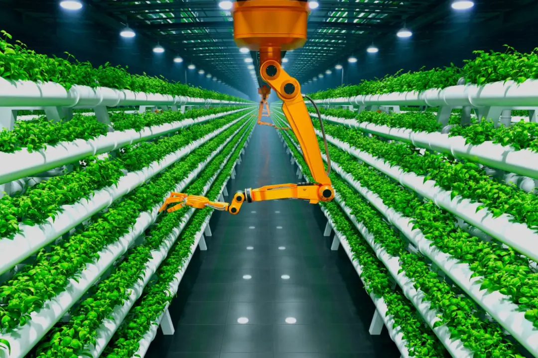 Publicação de @juliana.almeida