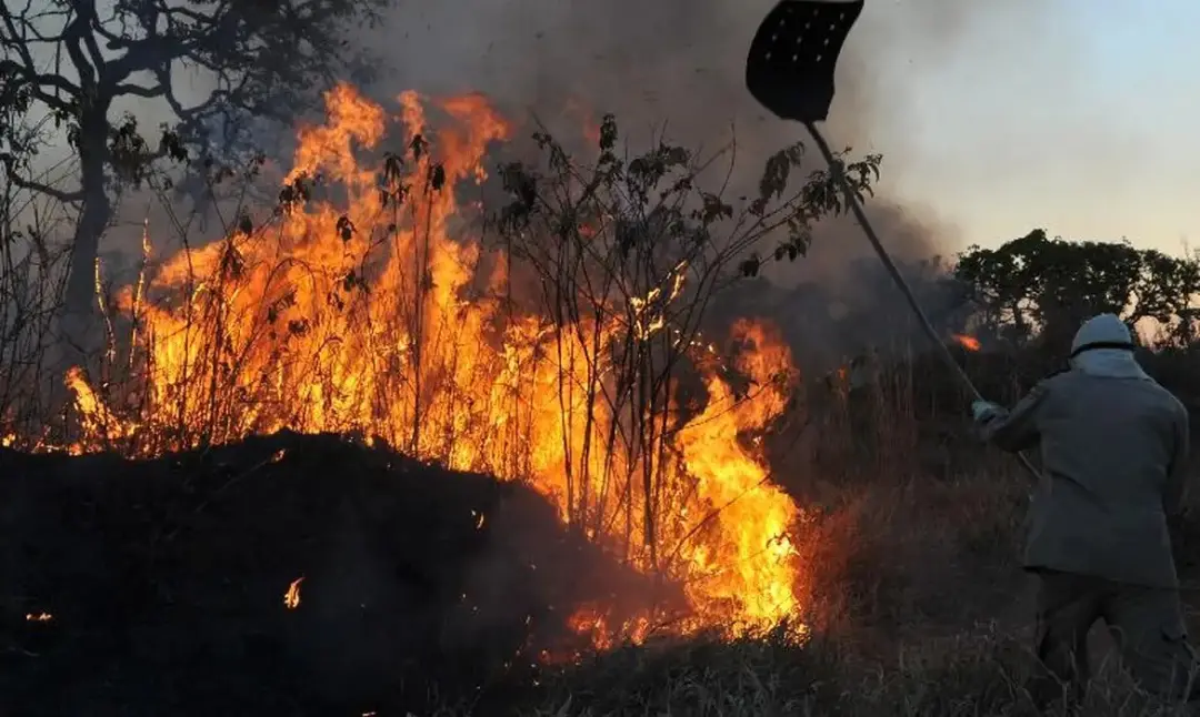Mais de 20 milhões em multas por uso irregular do fogo já foram aplicados em Goiás só em 2026. É um sinal de que a fisc…