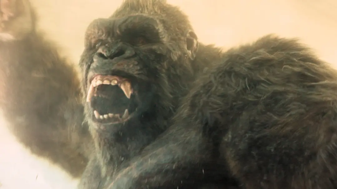 Monsterverse apresentou o mundo com muitos Titãs depois do G-Day. Godzilla e Kong são conhecidos, mas tem muita fera ro…