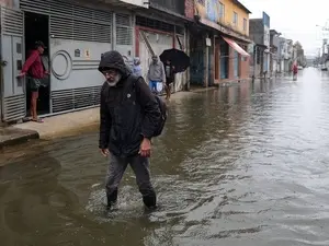 SP deve ter chuva forte e ventania hoje, marco do primeiro dia de primavera. Esses ventos trazem uma mudança no ar, um …