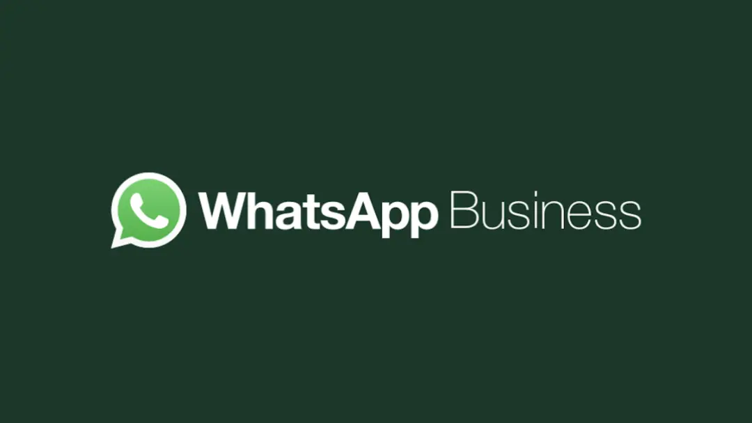Meta e WhatsApp Business sob investigação do Cade por mudanças que podem restringir uso e aumentar cobrança. Bancos com…