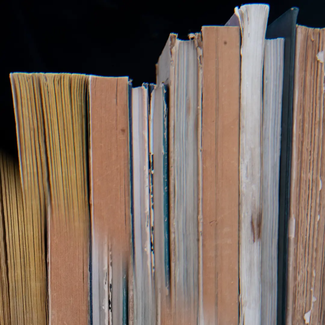 Os National Book Awards estão sem o caráter nacional nos longlists. A seleção atual mostra uma ortodoxia política cansa…
