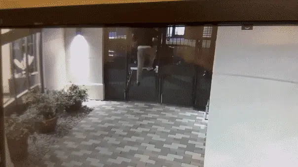 Berkeley, Califórnia. Vídeo mostra homem escalando portão trancado e seguindo estudante para complexo após perseguição …