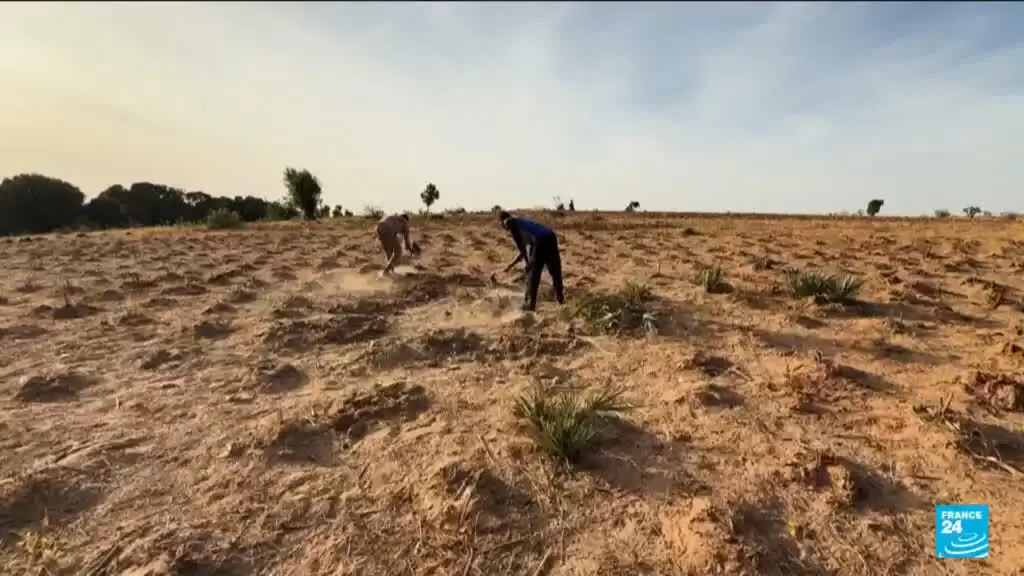 Quatrocentos e cinquenta e um mil mortes extras no mundo nos próximos seis meses por calor extremo, dizem cientistas so…