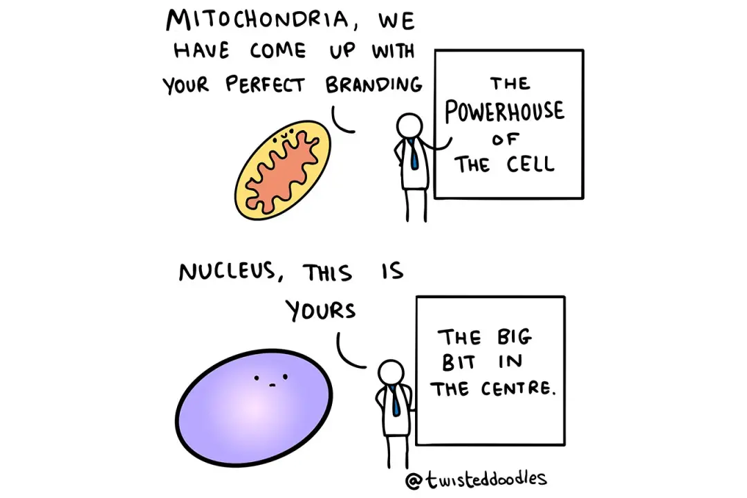 Twisteddoodles trouxe um cartoon esta semana mostrando como deixar uma célula no seu melhor aspecto. A arte toca na del…