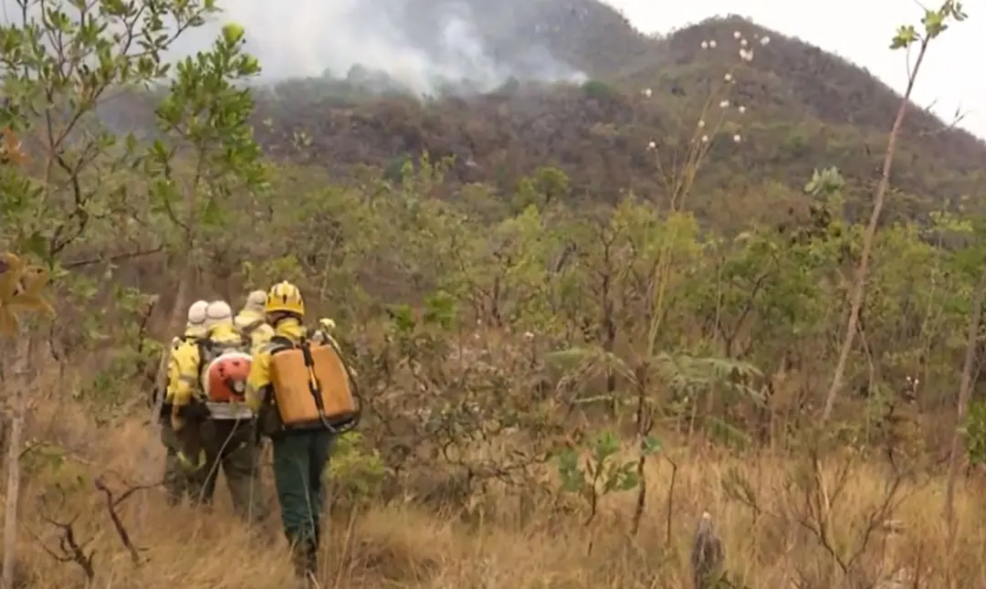 Parque Nacional da Chapada dos Veadeiros perde mais de 1 mil hectares com o retorno do incêndio. O fogo voltando na mad…