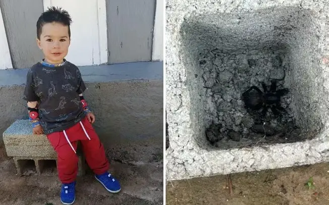 Um menino de 1 ano e 10 meses morreu em Atibaia depois de ser picado por uma aranha no sítio. É triste ver uma criança …