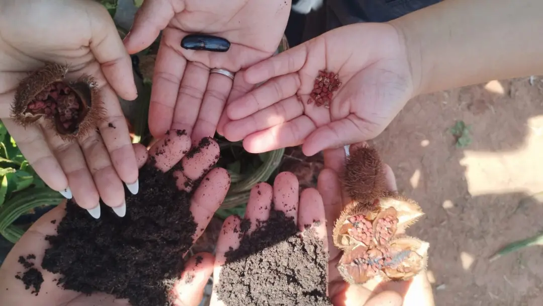 Cláudia, MT, tem um projeto onde alunos da Escola Florestan Fernandes criam trilha ecológica para unir escola, agroflor…