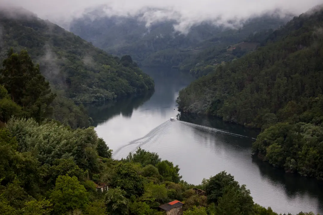 Ribeira Sacra, em Galícia, tem passeios de barco pelo Sil e Miño mostrando castanheiros, robles e igrejas românicas. É …