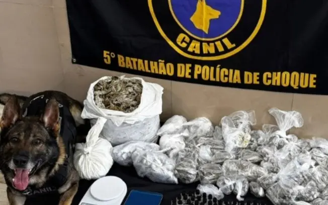 Mais de 12 quilos de drogas foram localizados em Paraisópolis, São Paulo, graças ao trabalho do cão Odin. É impressiona…