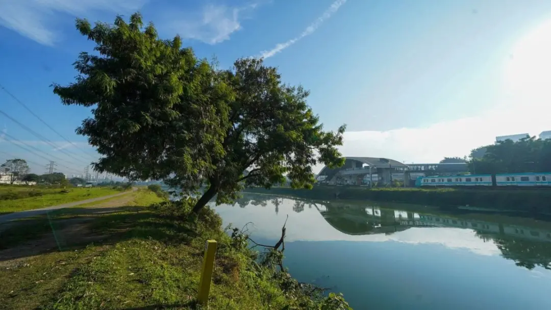 Pesquisadores da USP criaram um sistema para mapear áreas urbanas mais resilientes a inundações, usando dados de veloci…