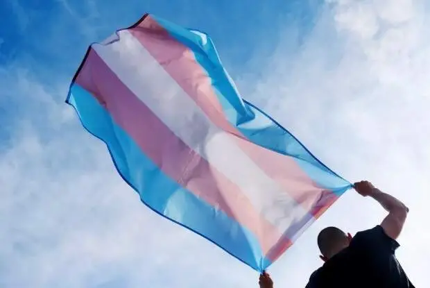 Vinte candidatos trans concorrem em partidos de centro e direita nas eleições de 2026. A maioria das candidaturas trans…