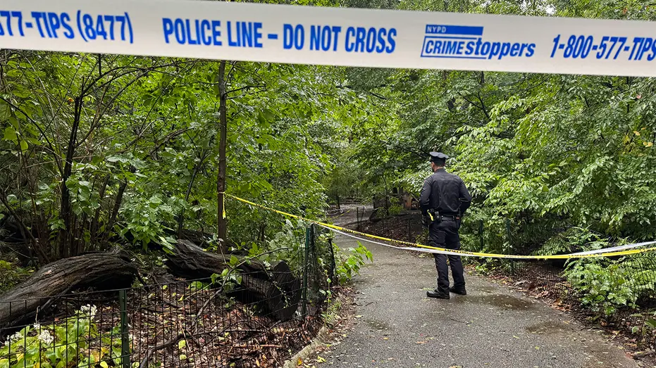 Central Park, Nova York, teve uma mulher encontrada morta com trauma corporal na manhã de domingo. A polícia investiga …