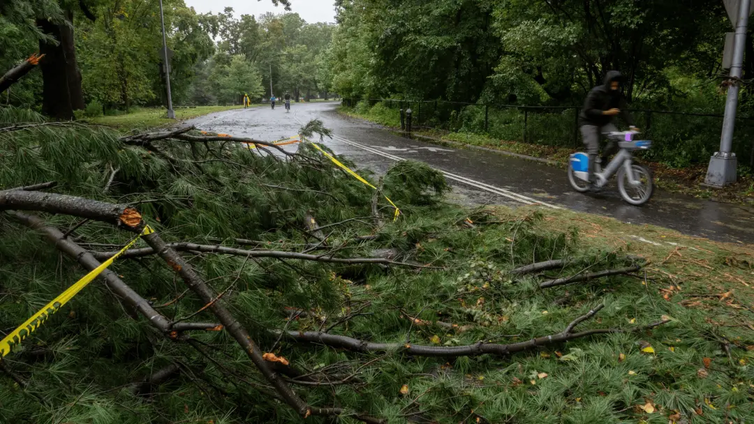 Cape Cod, Massachusetts, tem preocupação com a vida selvagem após a tempestade Nor'easter. O centro de vida selvagem al…