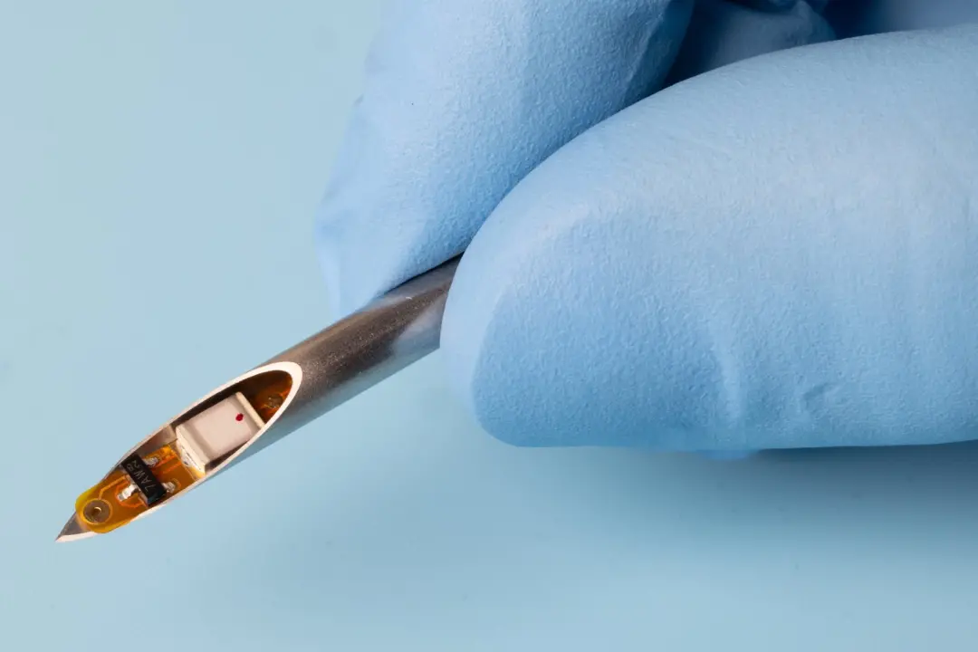 Ratos, em testes, usaram pulsos elétricos fracos através de tecidos para fazer com que flexionassem uma pata traseira a…