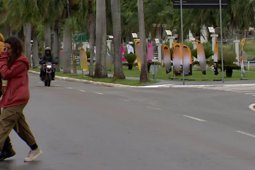 18 denúncias por dia na região de Campinas. Apesar do volume de representações eleitorais, 69% dos casos foram arquivad…