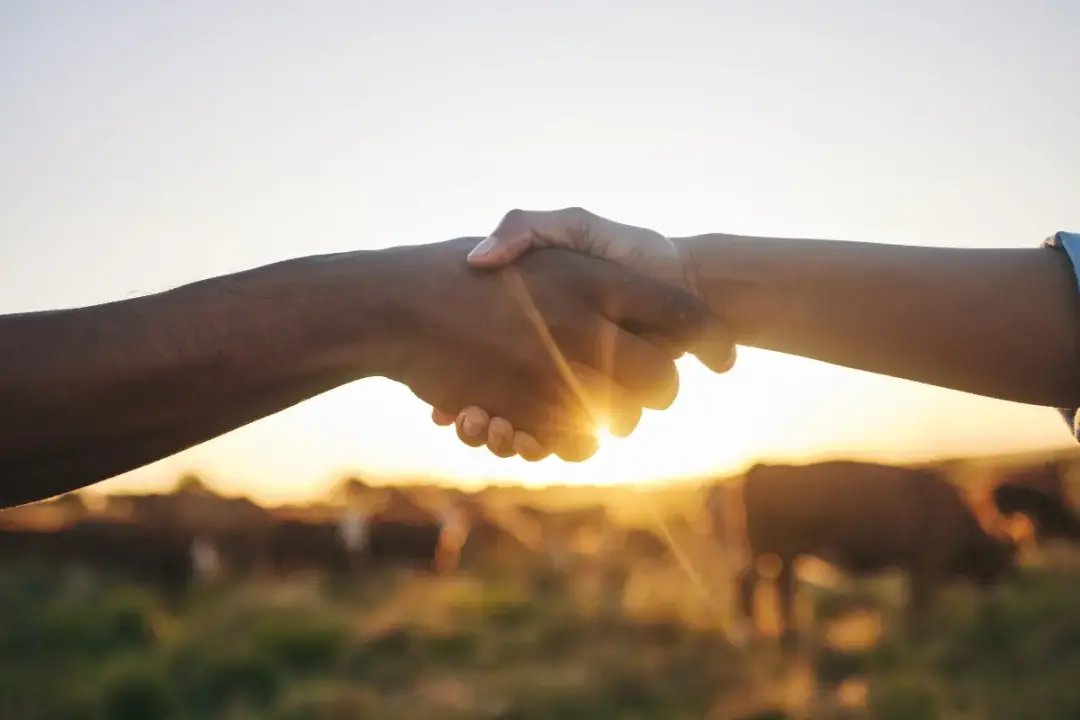 Nova lei atualiza as regras do seguro rural e integra apólices nas operações de crédito. A mudança aumenta a proteção p…