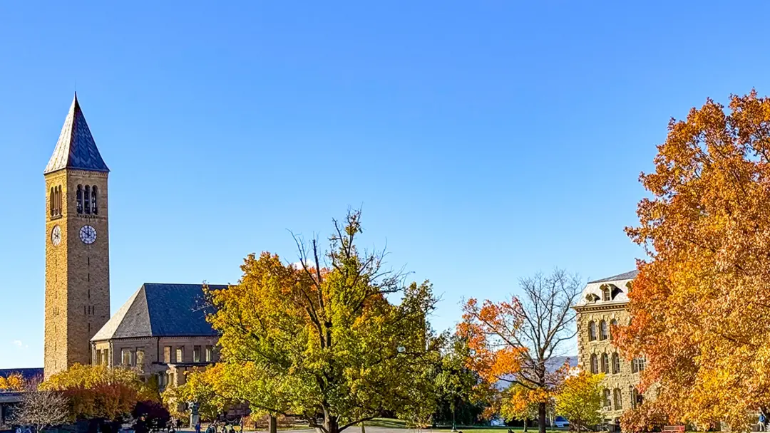 Cornell University ignorou diretrizes de punição para fraternidades por anos, e a Polícia de Cornell alertou os oficiai…