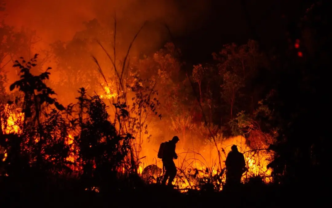 Trinta e nove atendimentos a incêndios em vegetação em um dia em Goiás. A seca prolongada, com mais de 22 dias sem chuv…