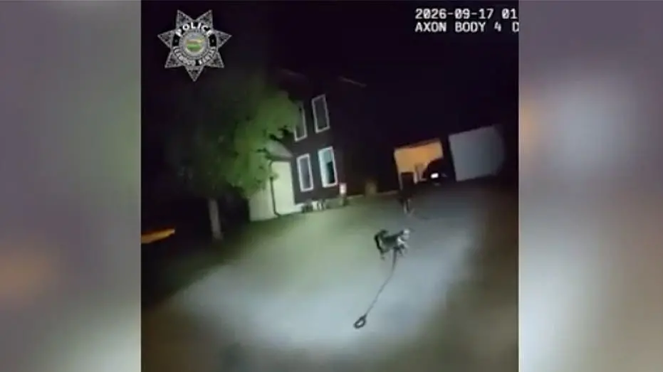 Um cachorro em Kansas foi elogiado pela polícia por ajudar o dono que caiu em casa. O cão foi encontrado na rua e guiou…