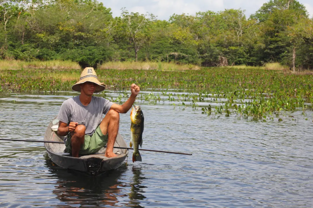 Projeto de Lei 3358/26 prevê advertência antes da multa ambiental para quem pesca por subsistência. A punição imediata …