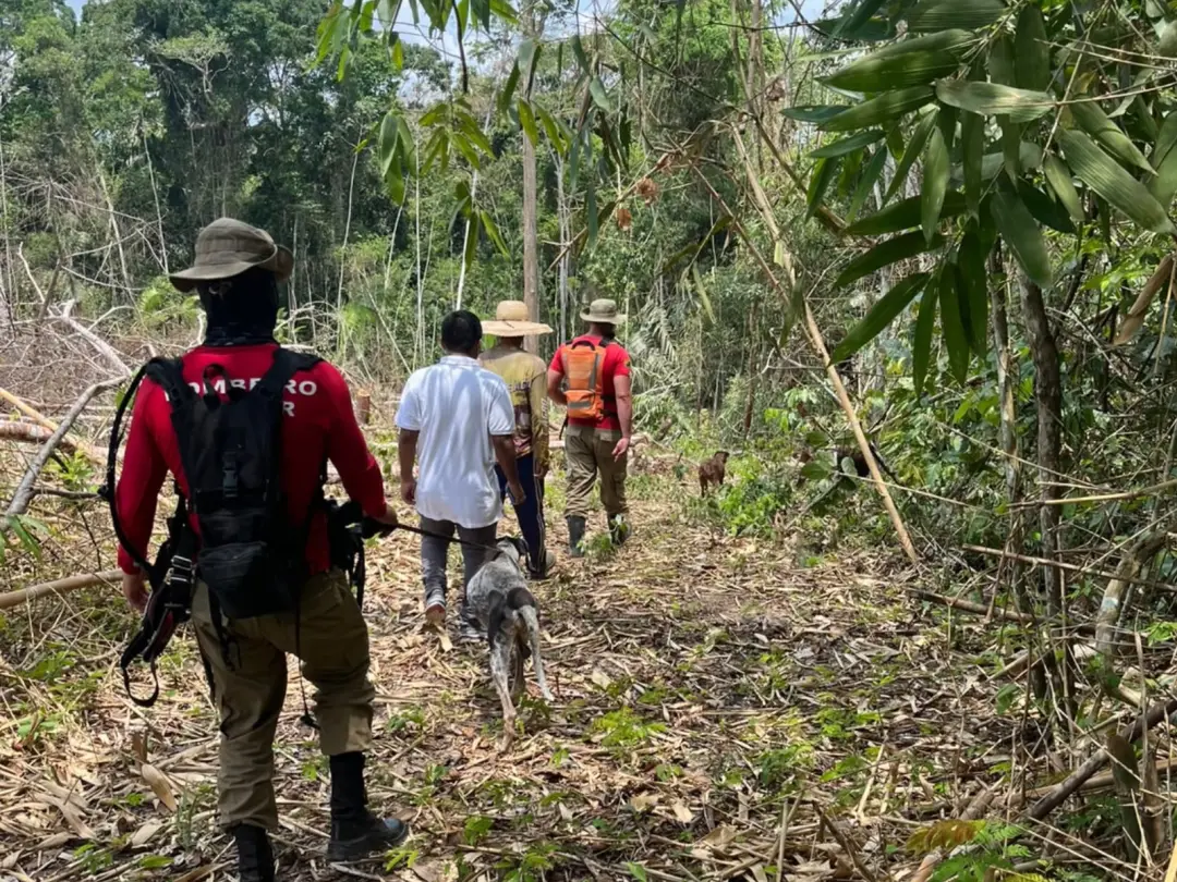 Justiça determinou medidas de proteção para os dois irmãos da bebê de 9 meses sequestrada no Acre. A decisão exige aval…