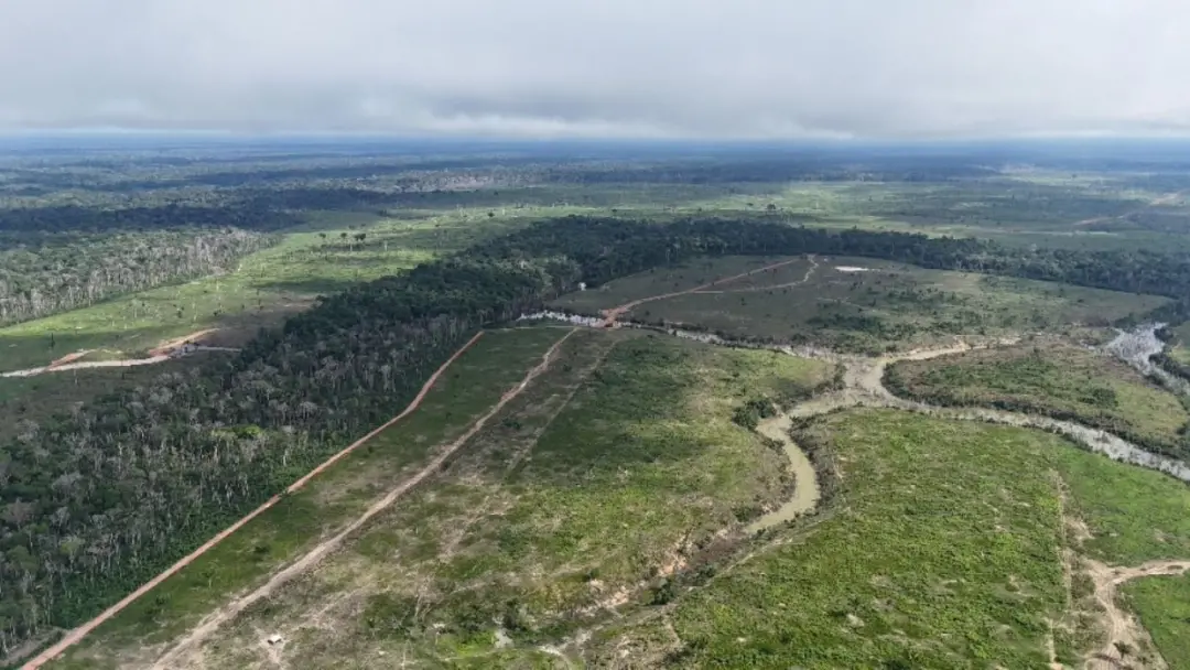 27% de queda no desmatamento no Amazonas entre janeiro e agosto de 2026, com 394 km² derrubados. Mas a pressão em terra…