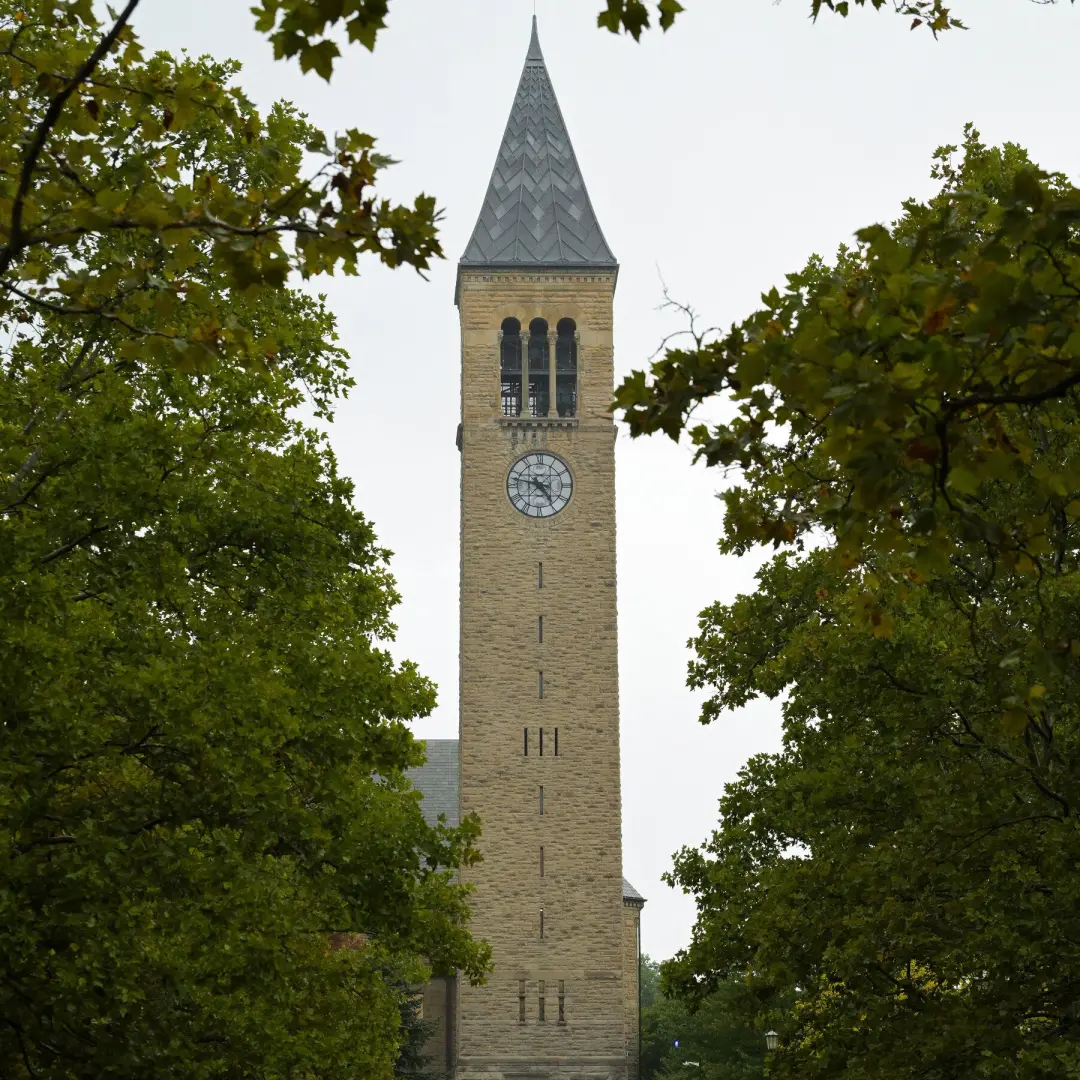Cornell investiga alegações explosivas em campus e país. A forma como os editores exploram essa cobertura mostra como a…