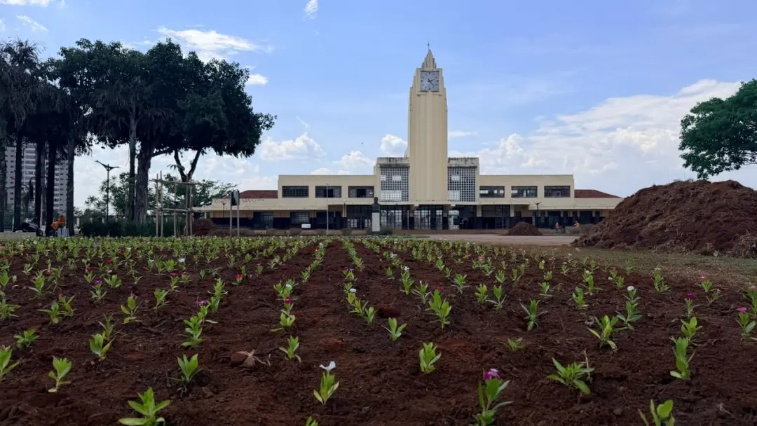 123 mil mudas plantadas em 60 dias pela Comurg em Goiânia. É um avanço na estética urbana, mas me pergunto como a manut…