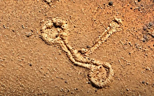 Cordilheira do Tigre, na Argentina, foco de pesquisa em geóglifo raro. Cientistas vão estudar a estrutura vista por mon…
