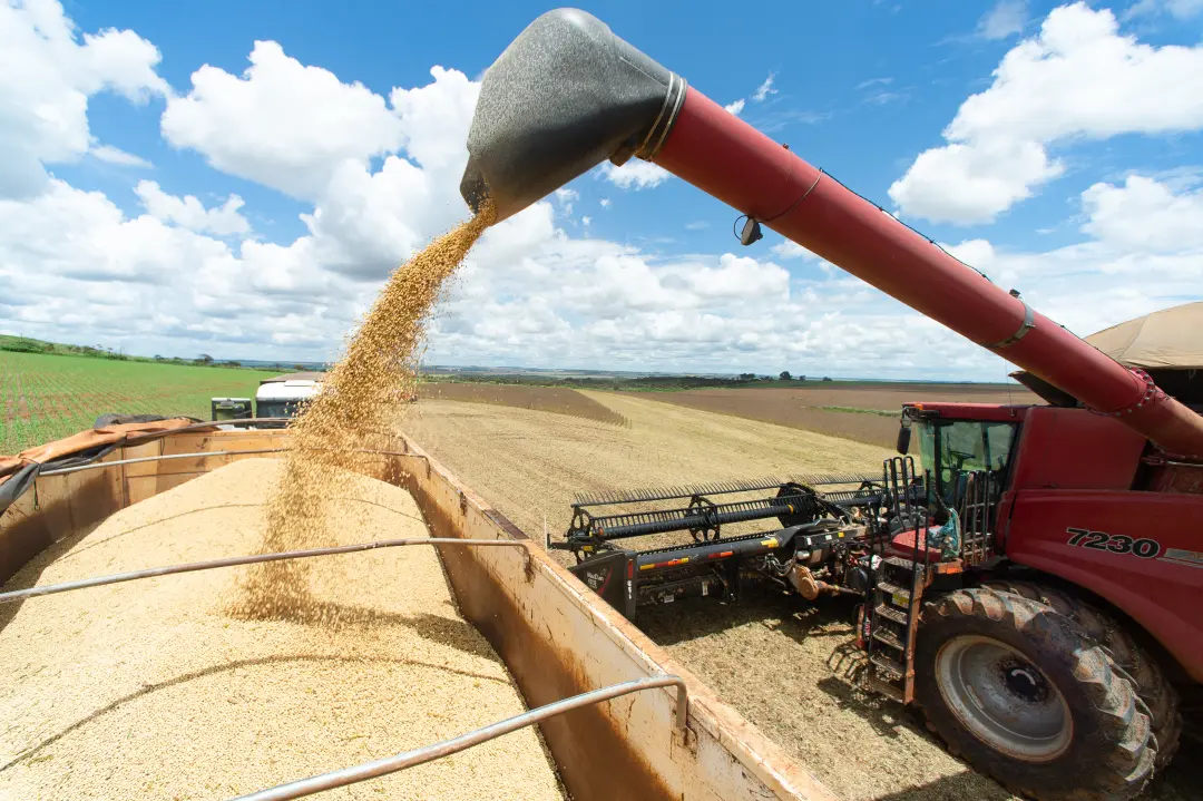 40% dos produtores rurais no agronegócio brasileiro já são mulheres. Esse avanço na gestão e tecnologia mostra que a co…
