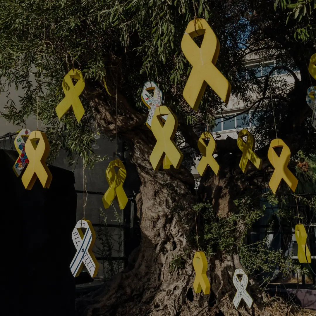 A questão de Israel superar os ecos de 7 de Outubro é um ponto central. Para isso, é preciso olhar para as complexidade…