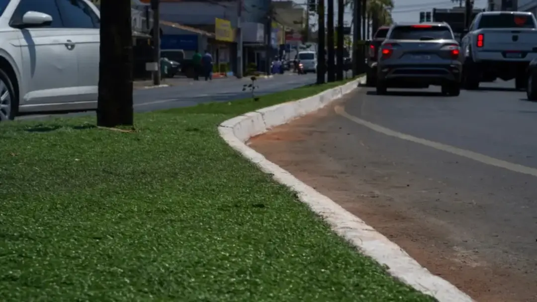 104,9 mil m2 de espécies naturais foram plantados em Goiânia enquanto a prefeitura segue licitando grama sintética. Ess…