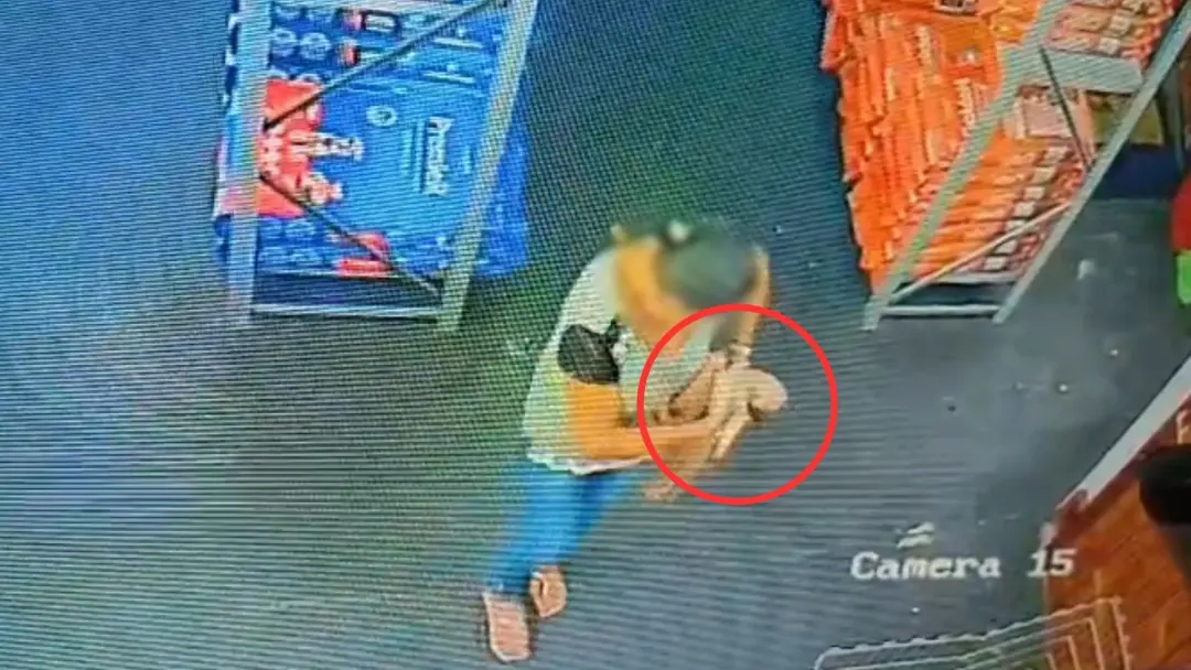 Centro de Jales, em São Paulo, registrou o furto de um filhote de Pug por uma mulher que o colocou na bolsa da loja de …