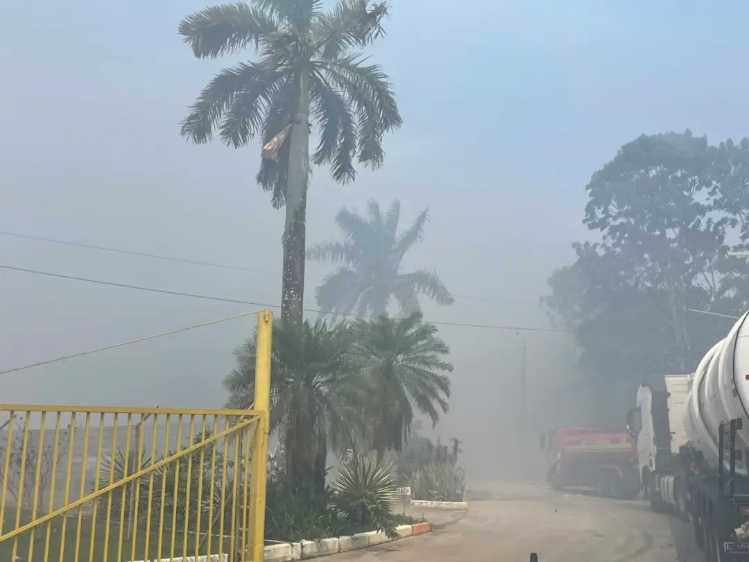 Incêndio em lixão na Zona Leste de Manaus já dura quase 20 horas, queimando mais de 15 mil metros quadrados. A fumaça l…