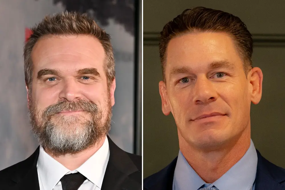 David Harbour e John Cena vão estrear a quinta temporada da comedia The Family Disappears. O projeto conta com um pai s…