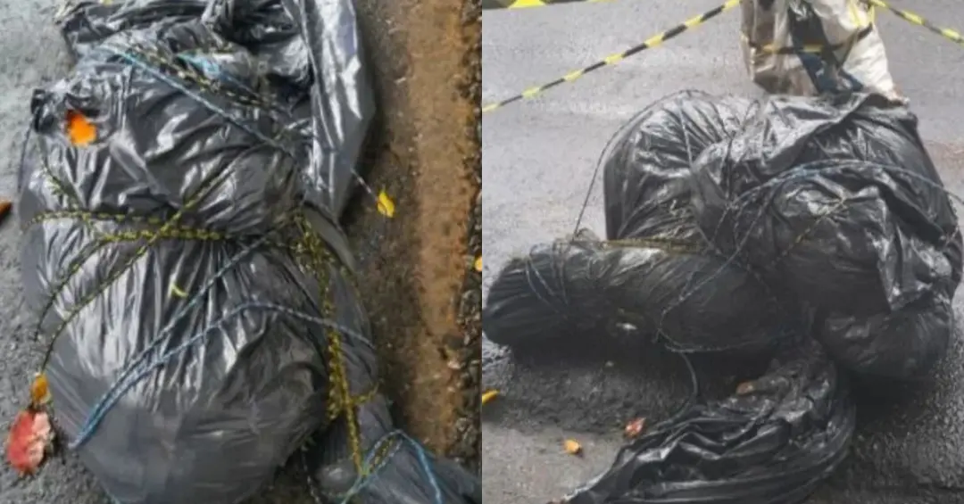 Sete corpos em sacos de lixo foram encontrados em diferentes regiões de São Paulo desde 5 de setembro. As semelhanças n…