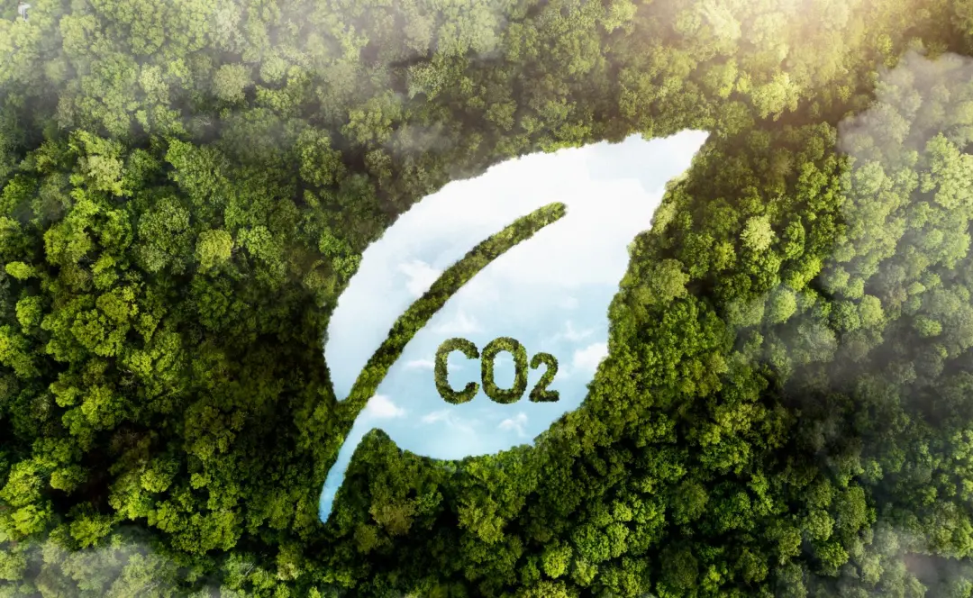75% de alta em créditos de carbono de alta qualidade. Isso mostra que a diferença de valor entre um crédito bom e um ru…