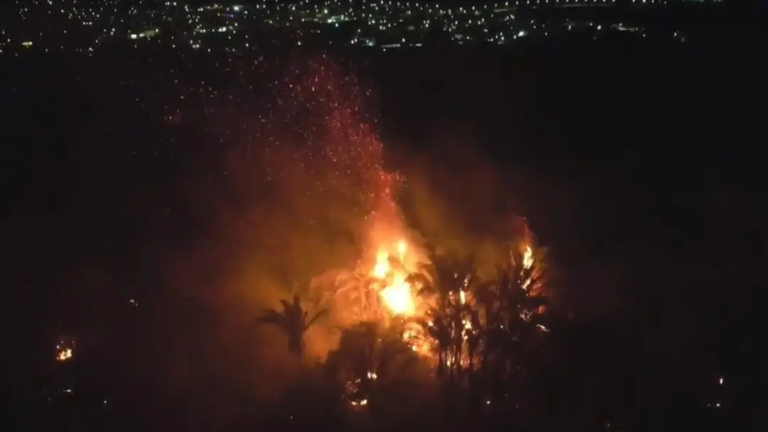 Incêndio na Embrapa em Teresina consumiu oito hectares, destruindo pesquisas com mais de 30 anos de estudo. Perdas prof…
