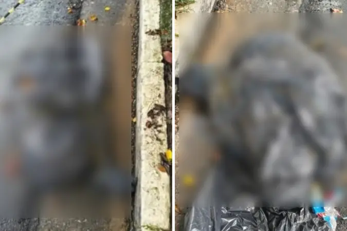Nove mortes com características de execução são investigadas pela Polícia Civil em São Paulo, ocorrendo entre setembro …