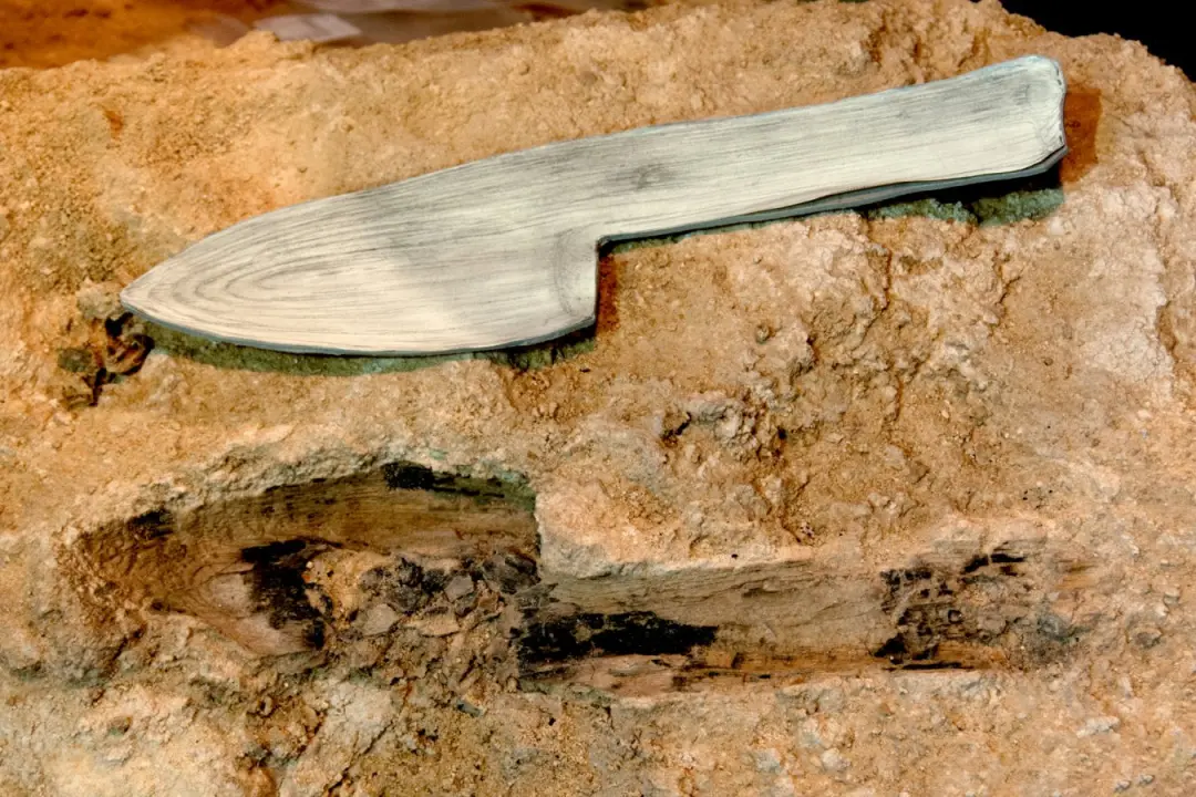 Abric Romaní, perto de Barcelona, tem achados de cerca de 600 objetos de madeira com 40 mil a 62 mil anos. Isso mostra …